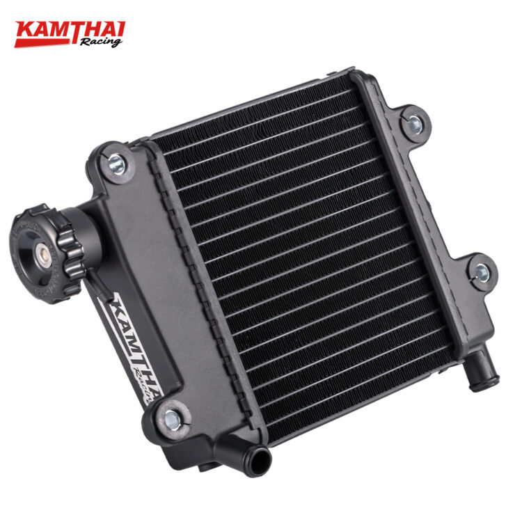 Nvx Radiator Motorcycle Radiator Comp for SX-NVX N-MAX(V1)-BLACK SILVER ...