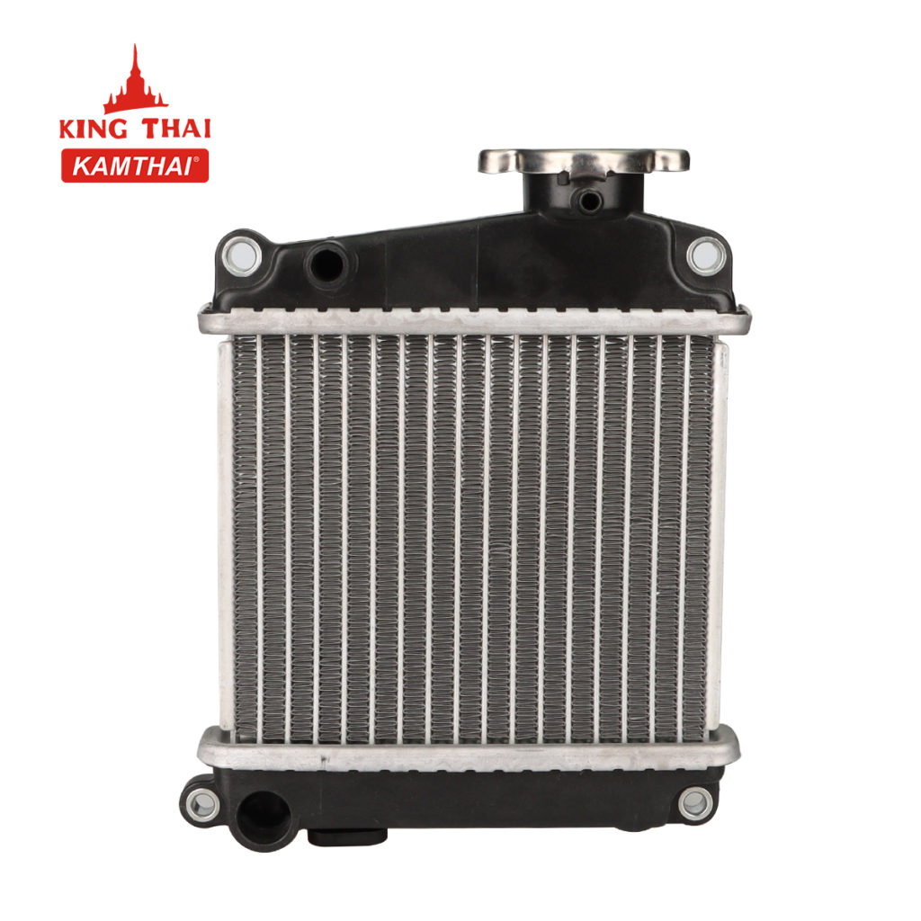 Motorcycle Radiator Comp LEAD 110 – kingthai100.com